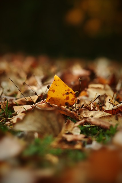 他对巴尔德 他对巴尔德