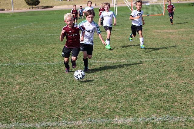 本次事件的 本次事件的