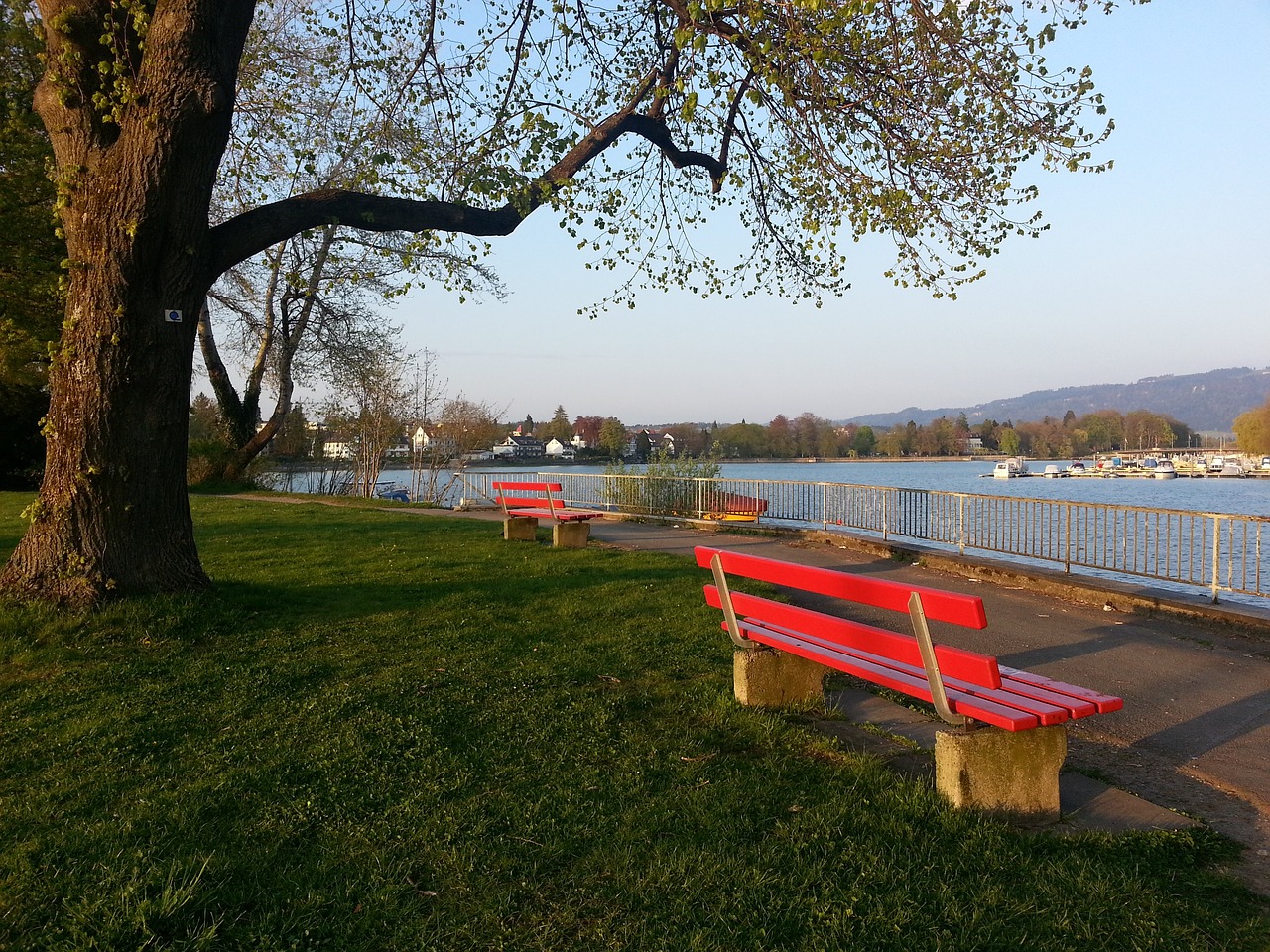 上的无可比 上的无可比