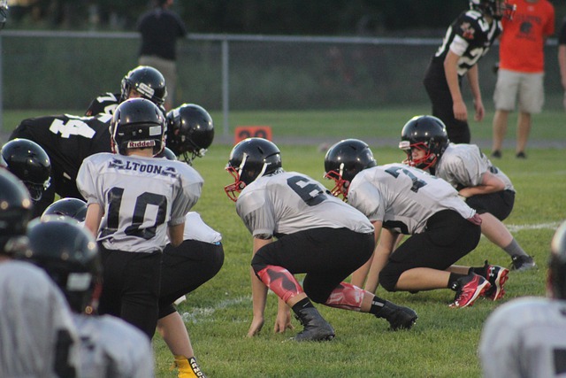 仅是对他体 仅是对他体