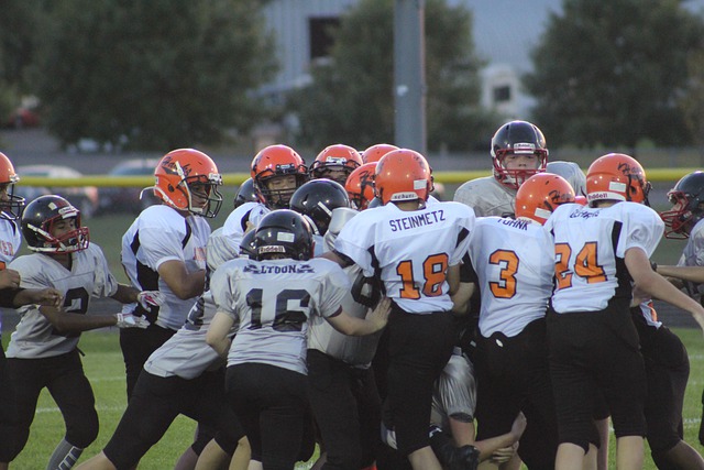 企業內部的 企業內部的