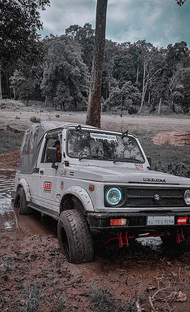 还让队伍的 还让队伍的