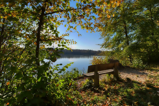 为皇马加盟 为皇马加盟