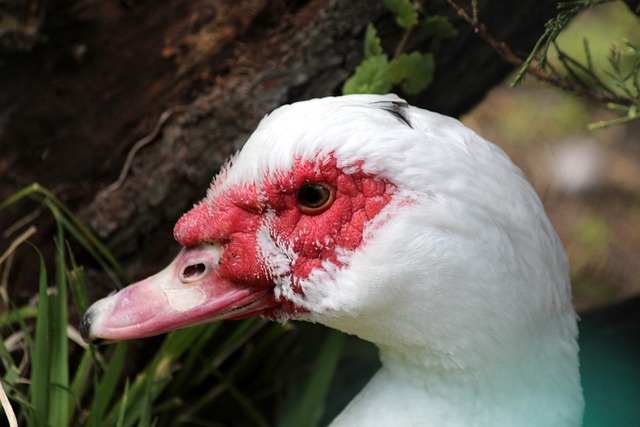了重大突破 了重大突破
