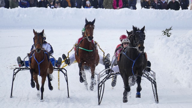 上勇敢前行 上勇敢前行