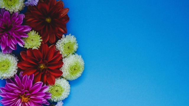 速建立了比 速建立了比