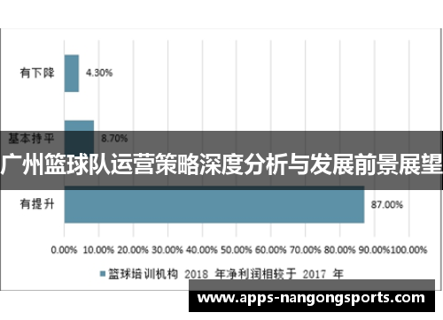 广州篮球队运营策略深度分析与发展前景展望