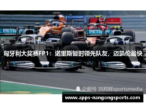 匈牙利大奖赛FP1：诺里斯暂时领先队友，迈凯伦最快